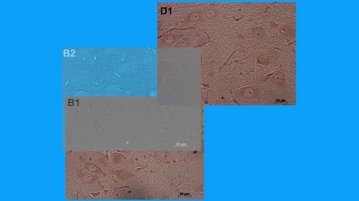 280F0D34477327E6FC96F7AD9389D5