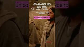 "Glorifica o Teu Filho"! #shorts  #jesus #joão6 #lucas1  #fe #lucas6 #joão1  #marcos6 #joão3