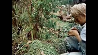 Tõeline Jõud - Ellerhein