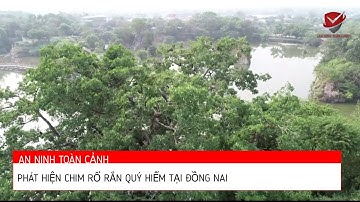 PHÁT HIỆN CHIM CỔ RẮN QUÝ HIẾM TẠI ĐỒNG NAI