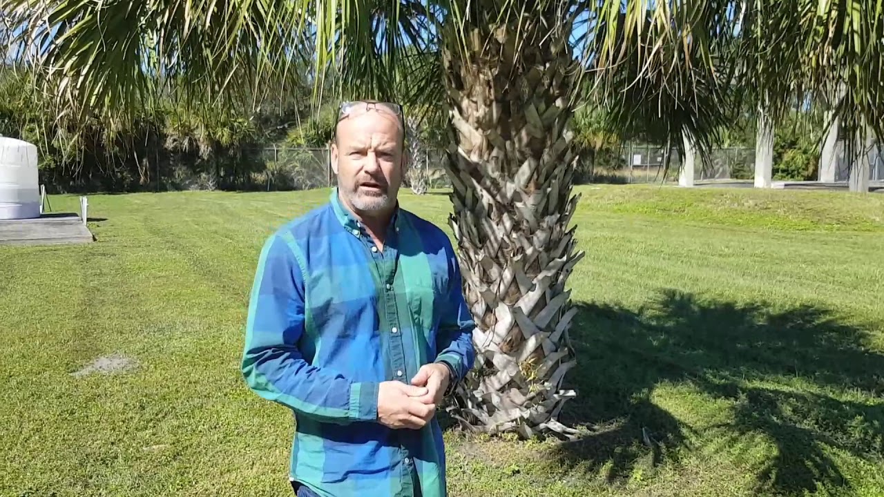 US Health Advisors Act Of Goodwill YouTube