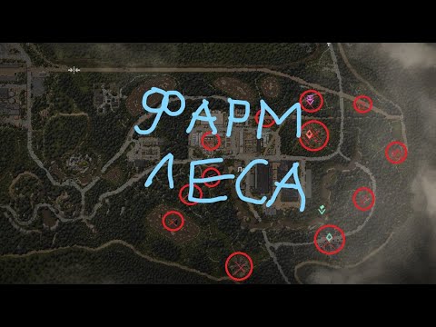 Карта прикопов сталкрафт лес