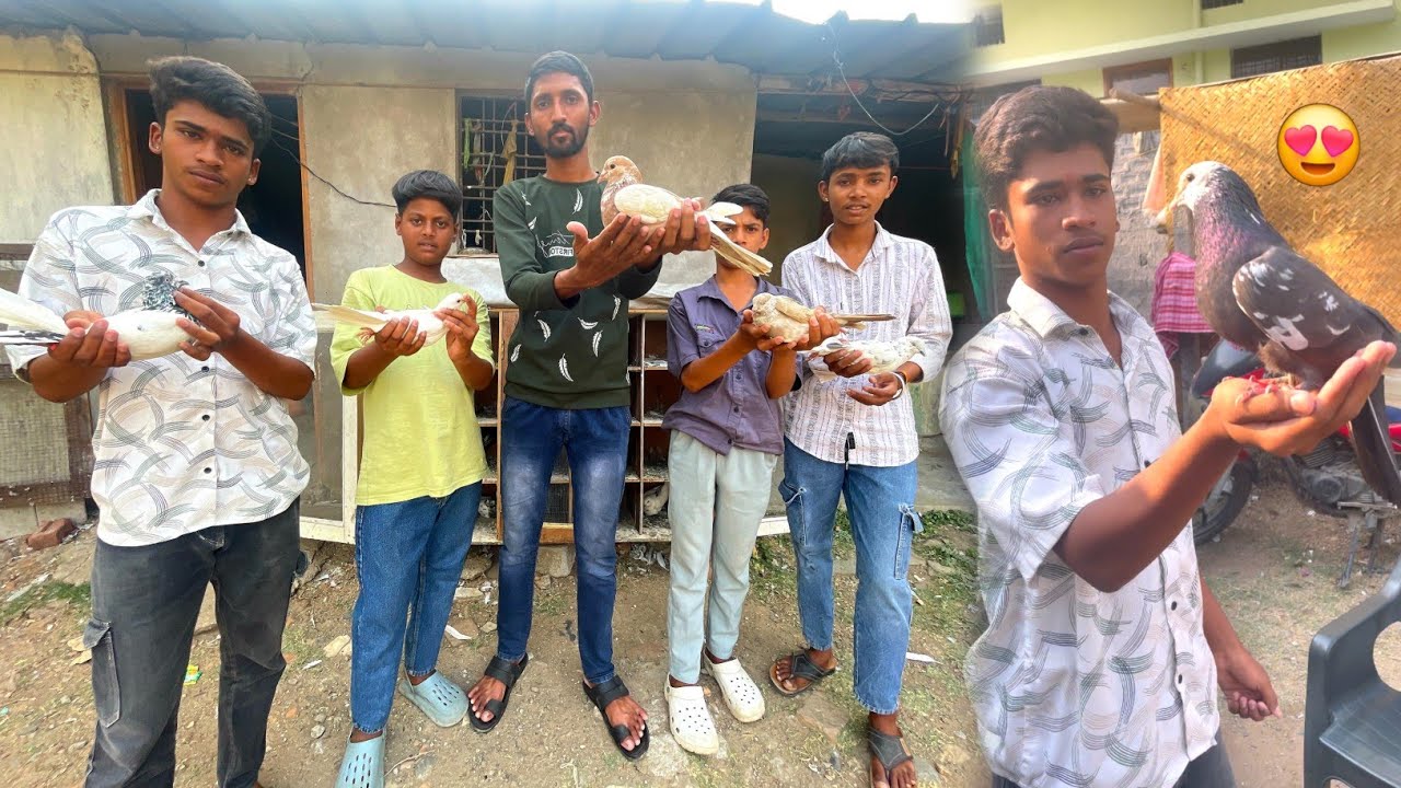 Shivam" Shiv" Or Dev" Ke Kabootar Ka Shauk 🤩