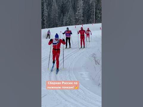 Лыжные гонки: Сборная России готовится к старту Этапа Кубка России ...