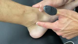 Foot and Ankle palpation