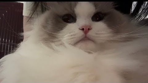 LVMH Beauty Internship application