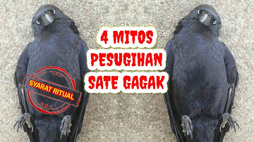 PESUGIHAN SATE GAGAK