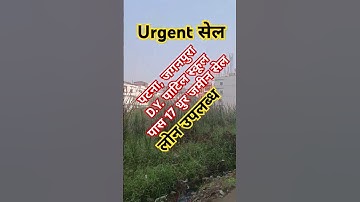पटना, जगनपुरा DY पाटिल स्कूल के पास 17 धुर जमीन सेल 7479999024 #propertydekho #plotinpatna #sells