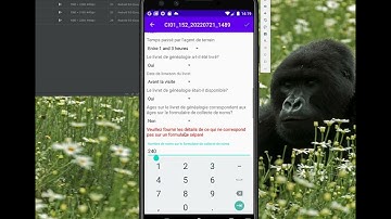 Field Audit Tool (FAT) - Vidéo 7 - Audit D