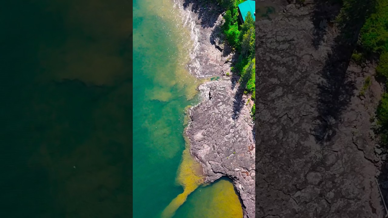 The North Shore Experience 