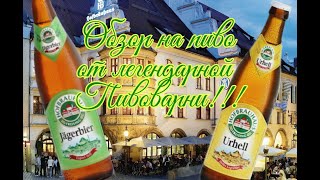 Пиво Hofbrauhaus   Пивоварня в сердце Баварии