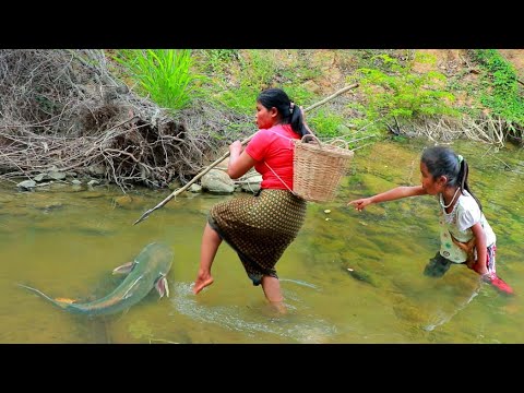 Vídeo: Com Descongelar Els Peixos