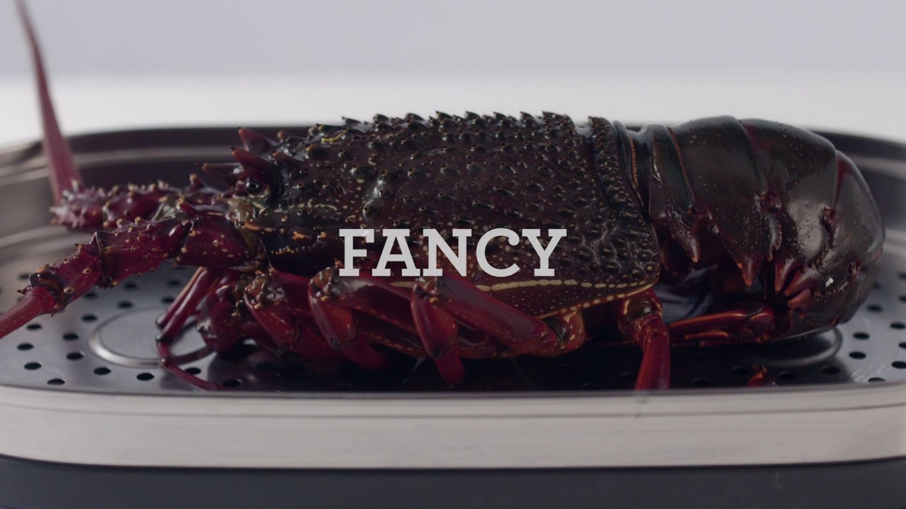 Breville Steam Zone ™ - Precise food steaming like never before - YouTube