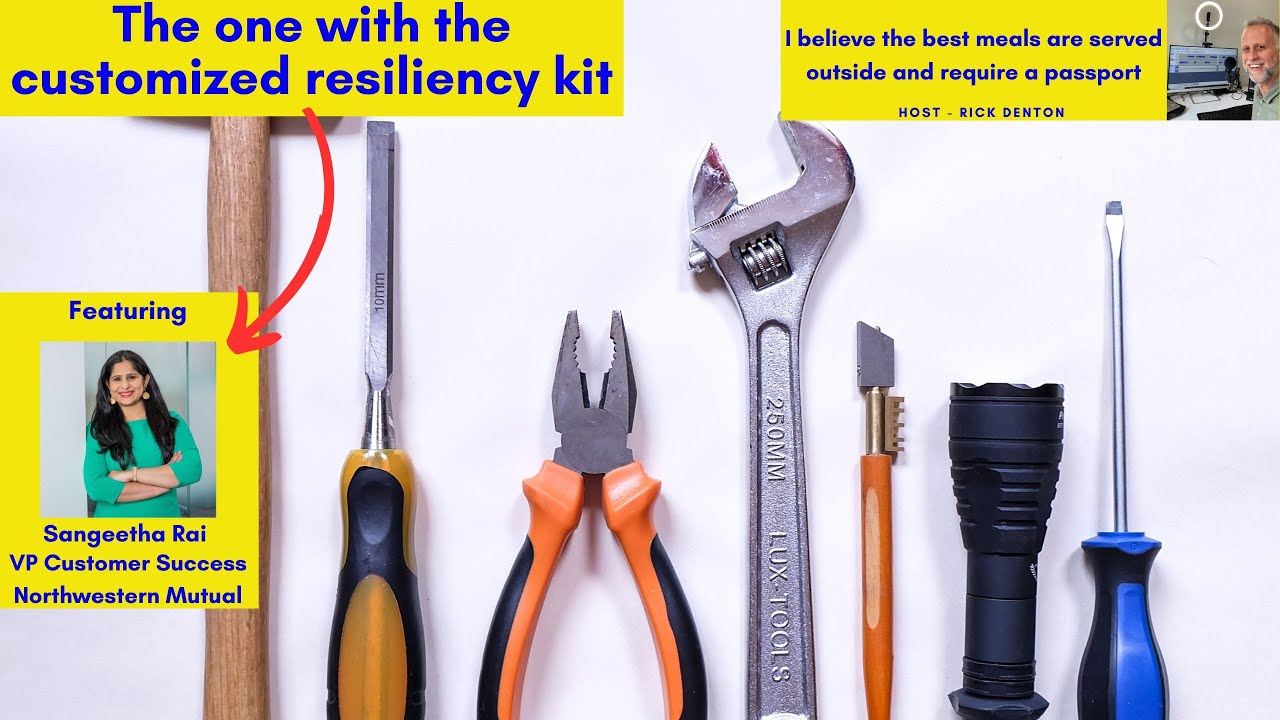 The one with the customized resiliency kit - Sangeetha Rai VP Cust ...