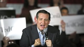 Who is Ted Cruz?