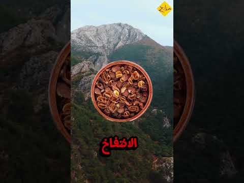مشروب تقليدي غني بمضادات الأكسدة ينشط الدورة الدموية ويعزز الهضم ويخفف الانتفاخ اكسبلور مزاج