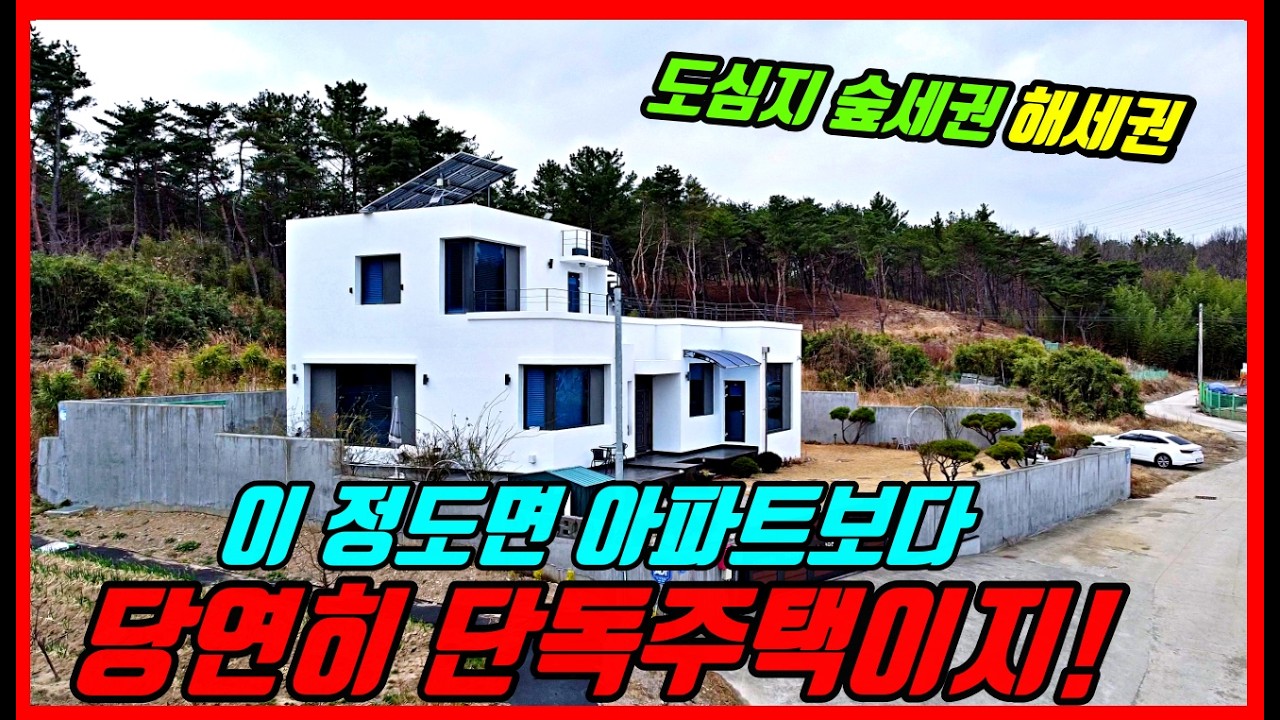 [강추] 아파트보다 살고 싶은 단독주택 매매 포항 북구 숲세권 해세권 바다권 주택매매 급매물 #착한부동산