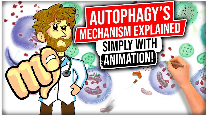 Autophagy Mechanism EXPLAINED SIMPLY With ANIMATION! - DayDayNews