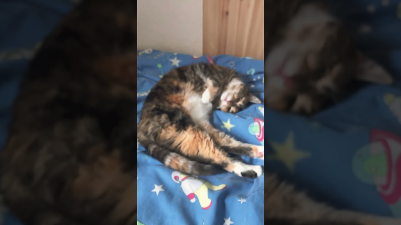 i’m sitting in the corner 