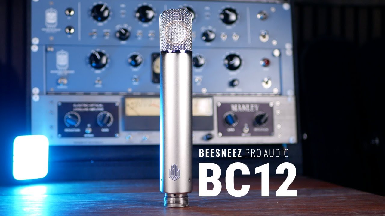 Introducing the BeesNeez BC12 Tube Condenser Microphone