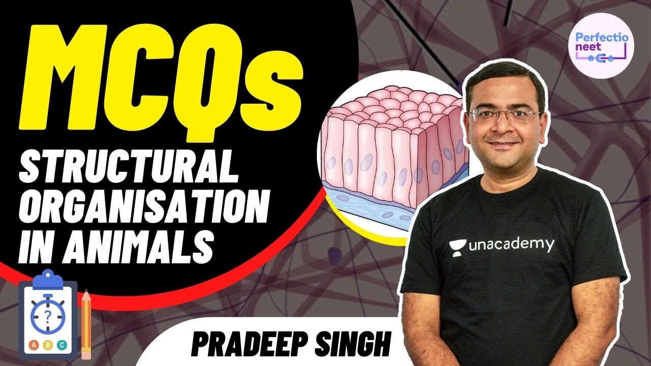 MCQ's: Structural Organisation in Animals | NEET Biology | NEET 2021/ ...