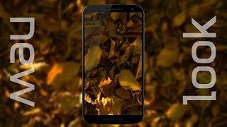 free autumn video wallpapers