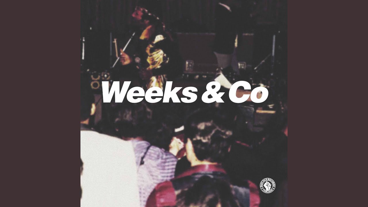 If You're Looking for Fun