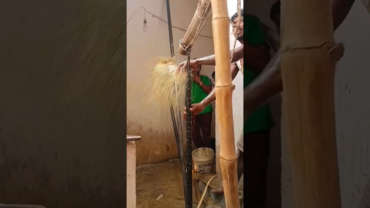 यह क्या कर रहे हैं 