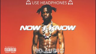Rema - NOW I KNOW (8D Audio) 🎧