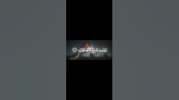 سورة الروم ياسر الدوسري| نصر غزه 🇵🇸 #quran #اكسبلور #المصحف #فلسطين