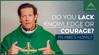"More Knowledge or More Courage?" | 20th Sunday in Ordinary Time (Fr. Mike's Homily) #sundayhomily