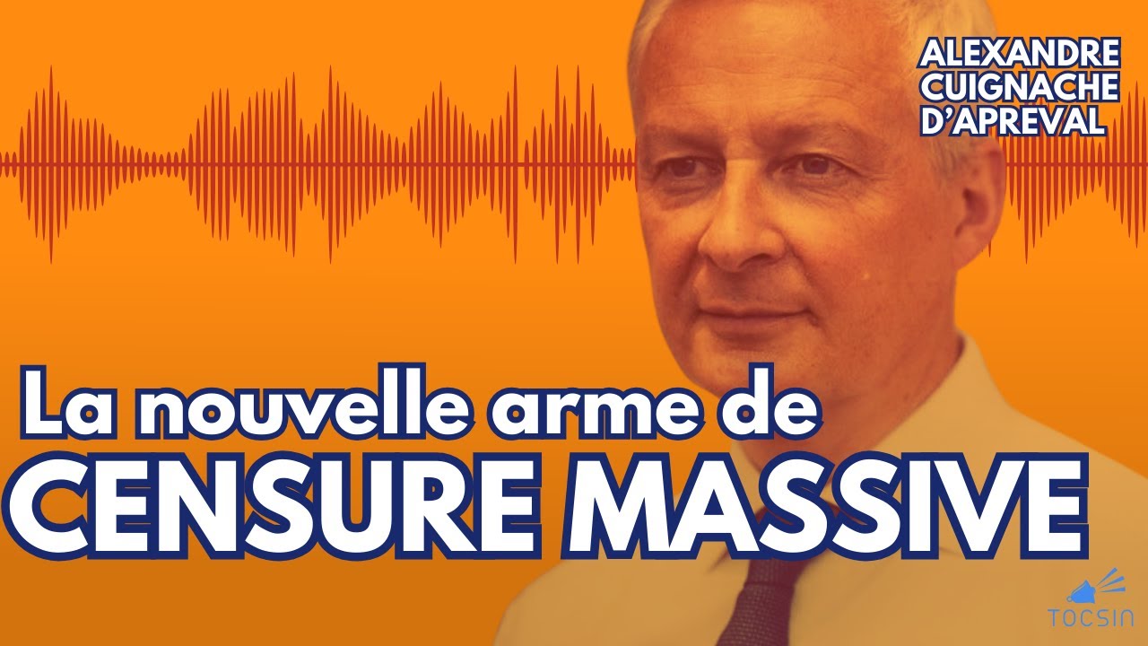 "Outrage numérique" : la loi de Bruno Le Maire pour vous faire taire !