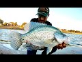 The BIGGEST CRAPPIE I've EVER SEEN!