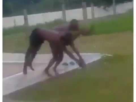 Jamaican crazy- two guys swimming and dry land - YouTube