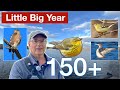 Little Big Year Ep16: Another new warbler! Also Christmas Bird Count highlights and a LBY calendar