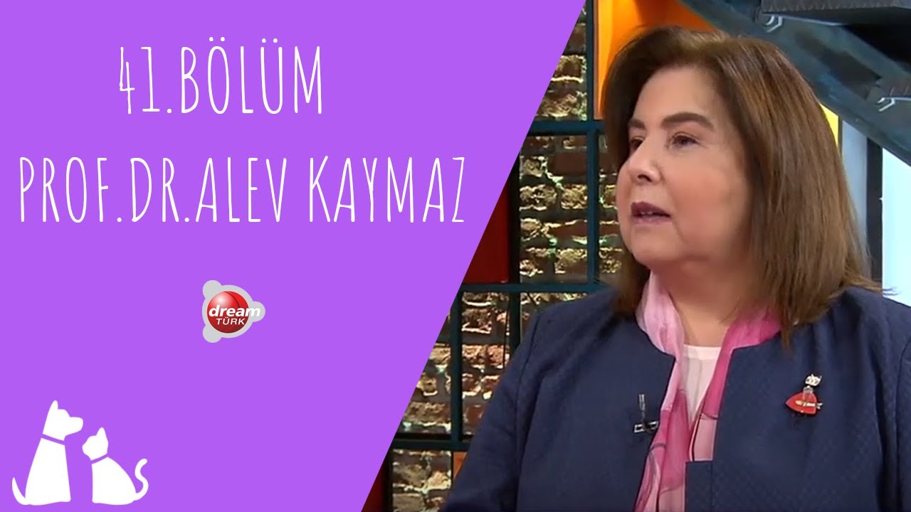 Kedi ve Köpeklerde Böbrek Rahatsızlıkları Nelerdir? | ÇOK YAŞA CAN DOSTUM