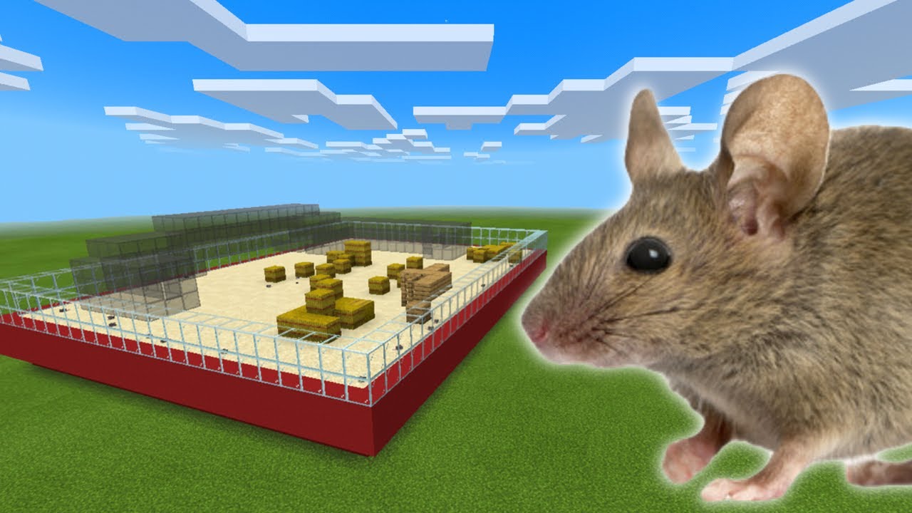 MCPE How To Make a Mouse Farm YouTube