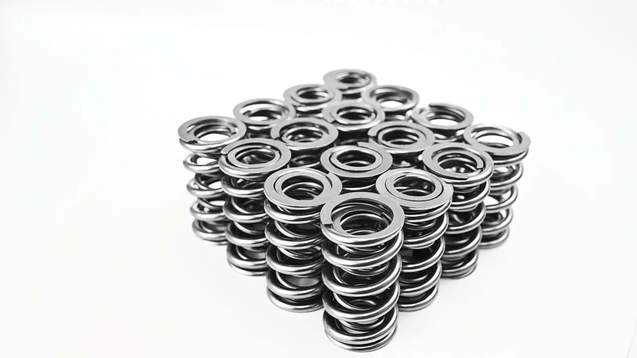 Brian Tooley Racing Platinum .660 Dual Spring Kit | Gen 3 4 LS