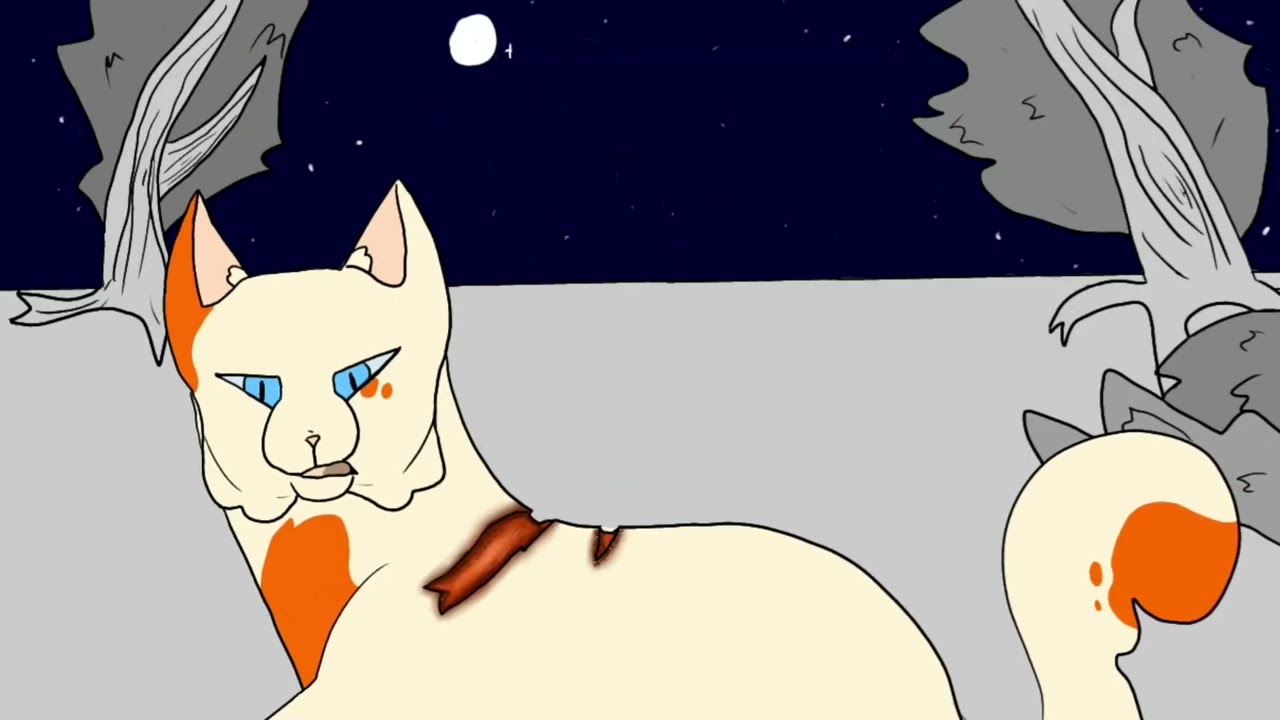 Natural || Warrior Cats OS MAP part 4