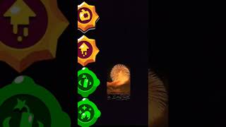 Dynamike In Real Life