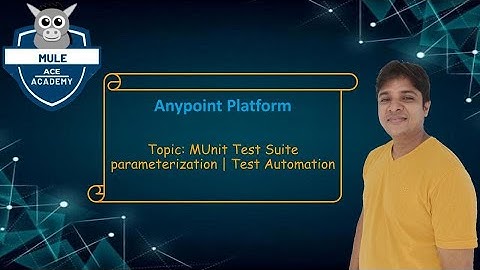 MUnit Test Suite parameterization | Test Automation
