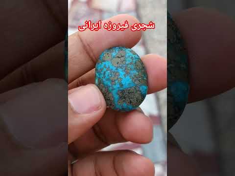 Natural Feroza Sajri Feroza Irani Feroza Youtubeshorts Viral Fororder 