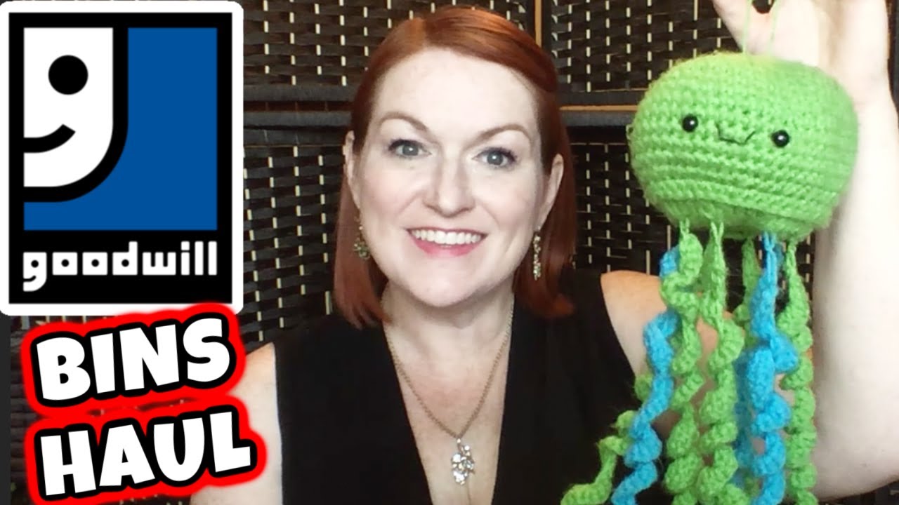 Goodwill Outlet Bins Haul 30 into 500 Goodwill Outlet Haul to