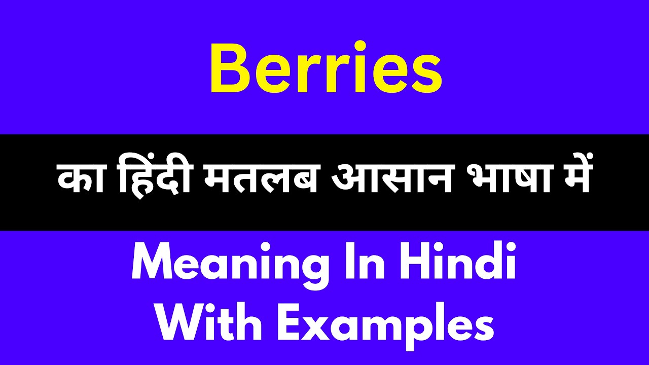 Berries meaning in Hindi/Berries का अर्थ या मतलब क्या होता है. YouTube