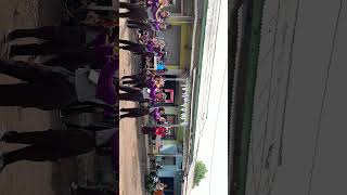 Boom kalekalekaleboom