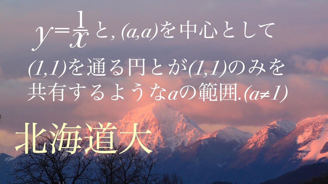 北海道大　双曲線と円の共有点　高校数学 Mathematics Japanese university entrance exam