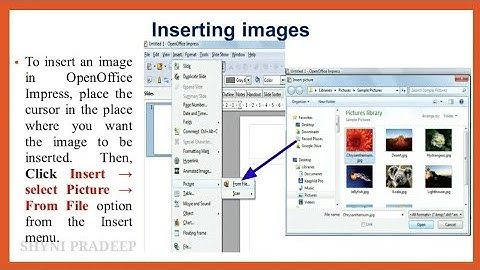 XI Computer Applications|Presentation Basics|CHAPTER 8|Shyni Pradeep