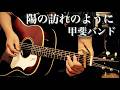 陽の訪れのように / 甲斐バンド ギター弾き語り【iPhone一発録り】COVER