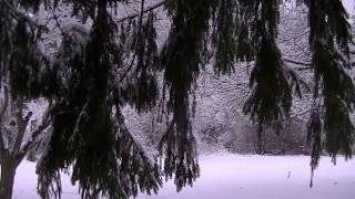 Ice Ice Baby:  Binaural ASMR Snow and Ice Sounds. screenshot 1
