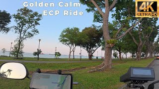 ECP Nature Ride 4K 🌳✨ Morning Light & Calm Roads screenshot 2